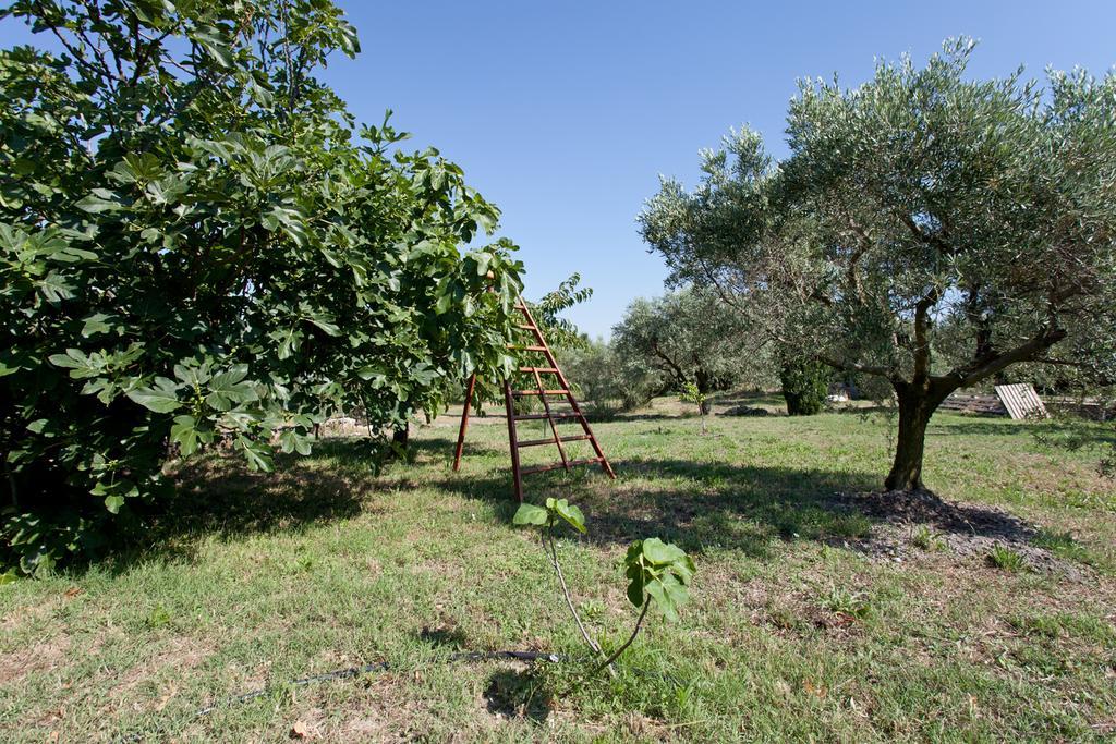 לינה וארוחת בוקר פונויל Mas Des Collines חדר תמונה